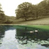 Stourhead Garden
