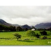 Sheep Farm in Foulsyke, Lake District, County Cumbria, England