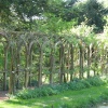 Painswick Rococo Gardens, Painswick, Gloucestershire