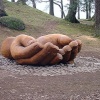 Hands carved out of tree near Brandelhow, on shore of Derwentwater, Lake District