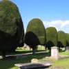 Churchyard, Painswick, Gloucestershire.