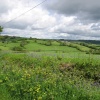 Devon countryside from the country lanes near Dalwood, Devon
