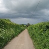 Country lanes near Dalwood