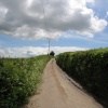 Dalwood, Devon. Country lanes near to the village