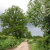 Dalwood, Devon. Country lanes near to the village