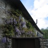 A building in the pretty village of Dalwood, Devon.