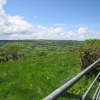 Devon Countryside, near the village of Dalwood