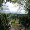 near the village of Dalwood, Devon