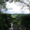 near the village of Dalwood, Devon.