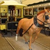 A horse drawn tram exhibit at Crich Tramway Village, Derbyshire.