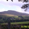 A view of Mid Mossdale from the A684.