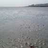 Worthing