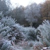 Frosty morning, Duddon Valley near Ulpha, Cumbria