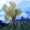 Packwood House, Warwickshire - Looking towards the house from the raised terrace.