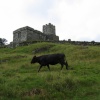 A picture of Dartmoor National Park