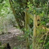 Hartshill Hayes Country Park, Nr Atherstone, North Warwickshire.