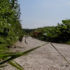 Watch for giant dogs!!! Hartshill Hayes Country Park, Nr Atherstone, North Warwickshire.