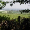 Hartshill Hayes Country Park, Nr Atherstone, North Warwickshire.