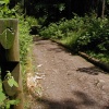 Hartshill Hayes Country Park, Nr Atherstone, North Warwickshire.