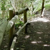 Hartshill Hayes Country Park, Nr Atherstone, North Warwickshire.