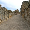 Path up to Scarborough Castle on the castle wall (05-06-06)