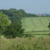 A picture of Cutnall Green