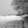 Winters chill. Field near the playing fields  Cutnall Green