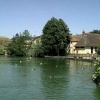 The Mere, Diss, Norfolk