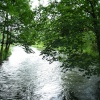 The River Test just north of Romsey.