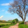a country road on the way to Hethpool, Northumberland.