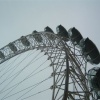 The London Eye