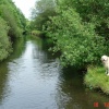River near Meltham...Huddersfield, West Yorkshire, with 'Pebbles' on bank side.