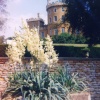 Belvoir Castle, The Gardens, Leicestershire,