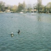 The Boating Lake in Albert Park, Middlesbrough