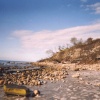 Lyme Regis