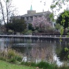 All Saints Church and the ponds, Carshalton