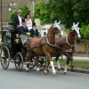 Wedding party in Broadway