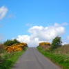 Country road near Glanton Pyke, Northumberland.