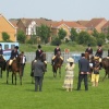 Judging the ponies at the East of England Show Peterborough