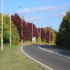 Autumn Colour along Oundle Road, Peterborough, Cambridgeshire