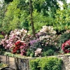 Shrewsbury - Dingle Gardens