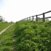 Audley End Park, Saffron Walden, Essex