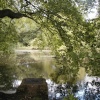 This is a photograph taken on Hampstead Heath on May 31, 2006