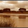 Talkin Tarn Country Park