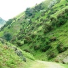 View of Long Mynd - Shropshire