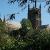 Worcester Cathedral taken from across the river