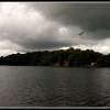 Talkin Tarn Country Park