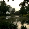 Fishbourne Duckpond near Chichester