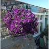 This is the the beautiful 'Wits End Cafe' at Sandsend, North Yorkshire