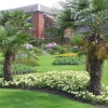 Calke Abbey, Derbyshire. The Walled Garden